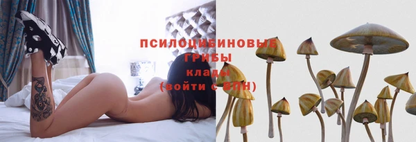 кокс Бородино