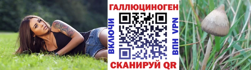 mega зеркало  Горнозаводск  Галлюциногенные грибы мицелий 